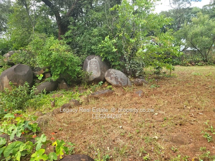 Greystone Park Stand For Sale With Borehole