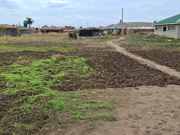 Stands & Residential Land