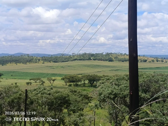 Farm & Agricultural Land