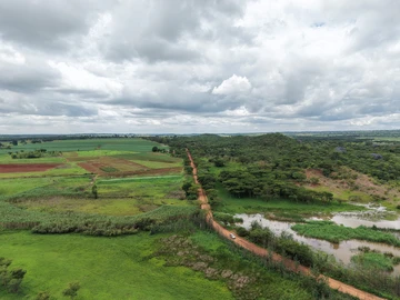 Stands & Residential Land