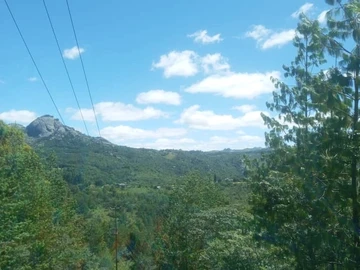 Farm & Agricultural Land