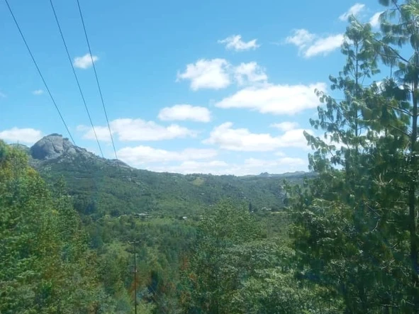 Farm & Agricultural Land