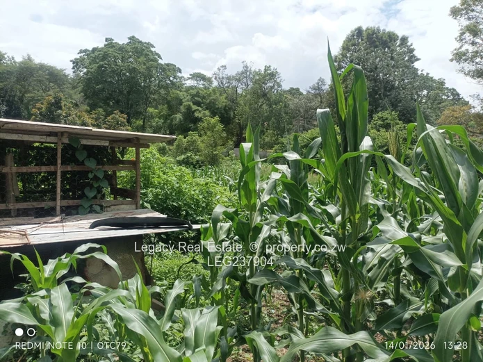 Glen Lorne Estate Property with Deeds ,Golden Oldie on Expansive Land,Ideal for Redevelopment