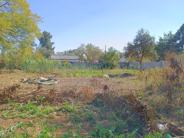 Stands & Residential Land