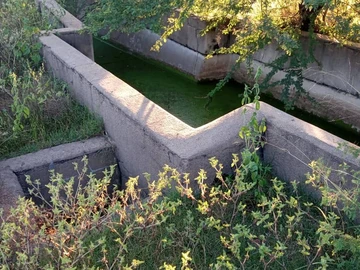 Farm & Agricultural Land