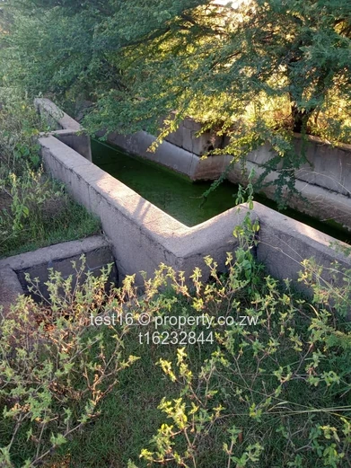 3750 hac in Nyamandhlovu 