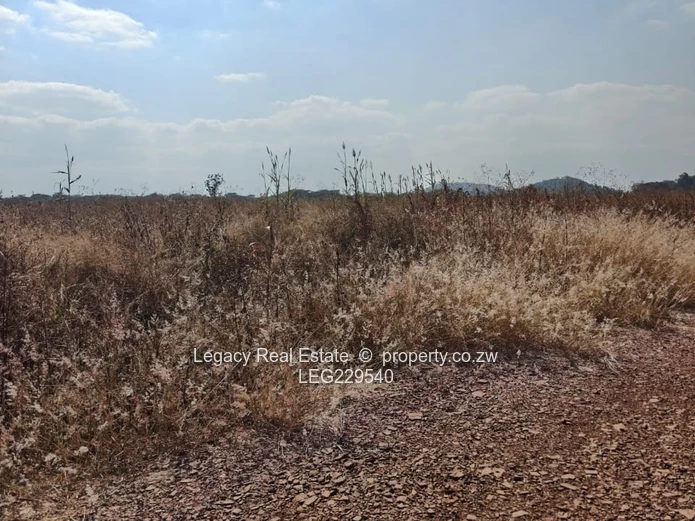 Spitzkop Stands for Sale