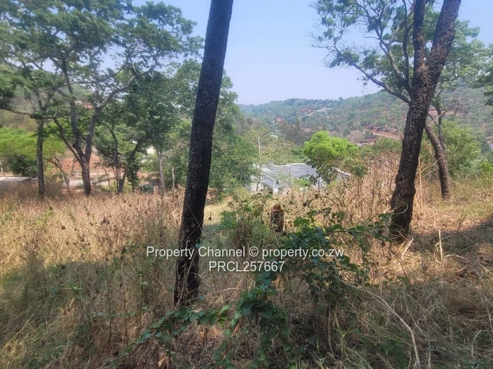 Available is a 2500m² Glen Lorne Stand