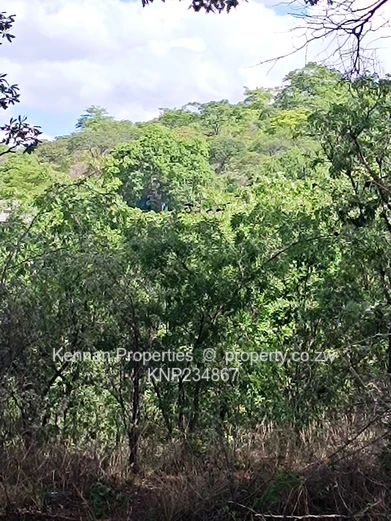  Prime 5,680sqm Stand with Exceptional Views