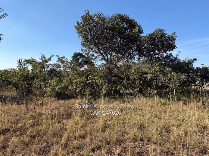 2030m² Arlington Estate Stand on Quiet Tarred Street – Water & Access Control (Sole Mandate)