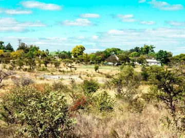 Stands & Residential Land