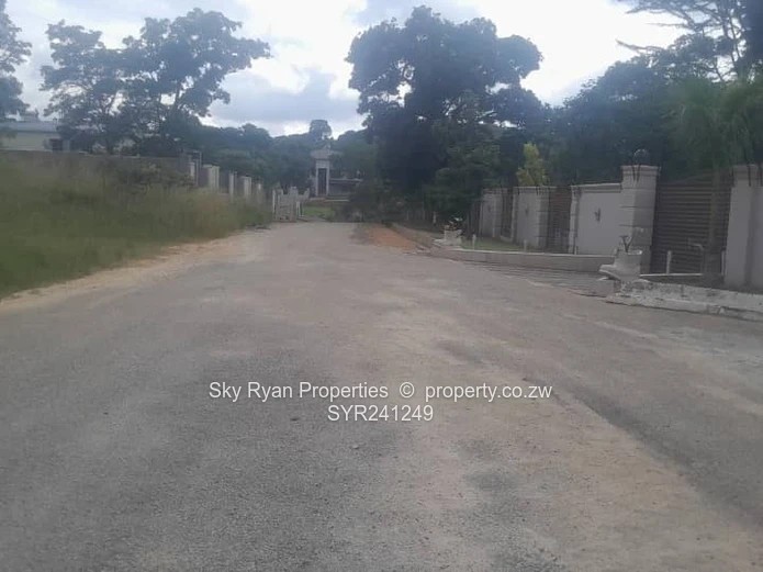 Carrick Creagh Stand For Sale