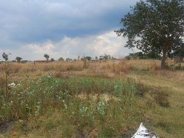 Farm & Agricultural Land