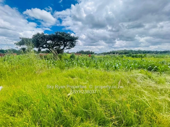 Westgate Area D Stand For Sale