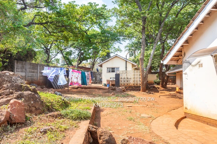 Potential On Arcturus Road - Nostro!