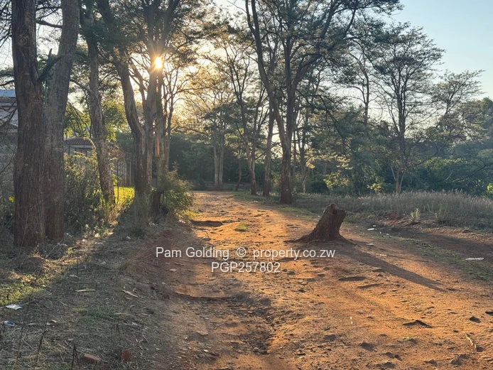 Harare North Stand For Sale