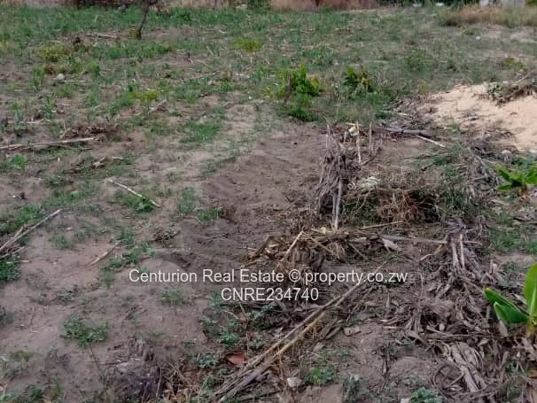 Sally Mugabe Heights