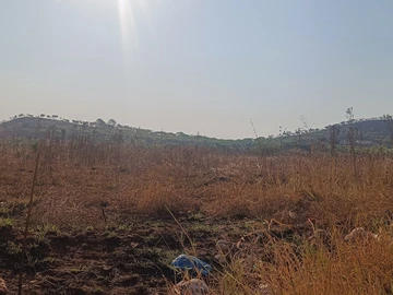 Commercial & Industrial Land