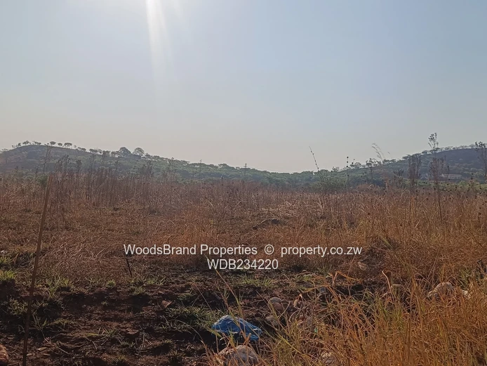 Tynwald South Land For Sale