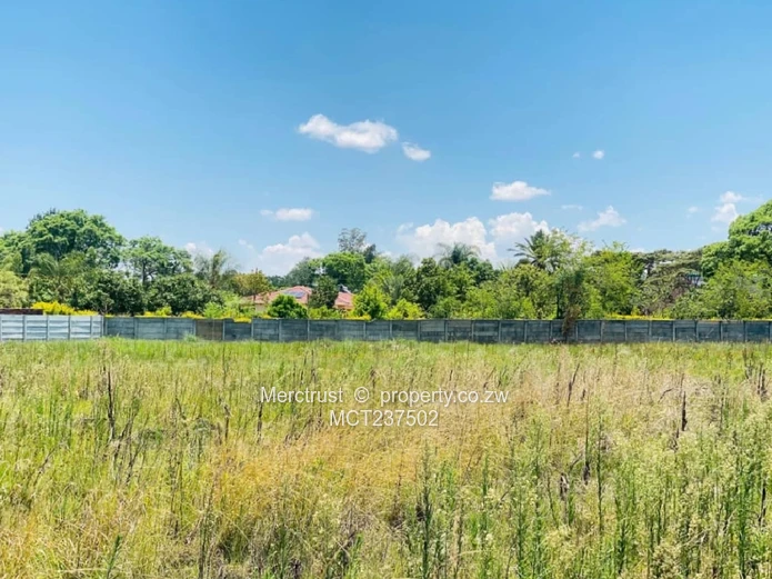 Choice of 2 adjacent stands!