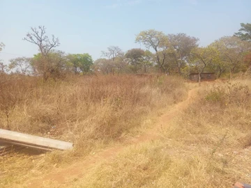 Stands & Residential Land