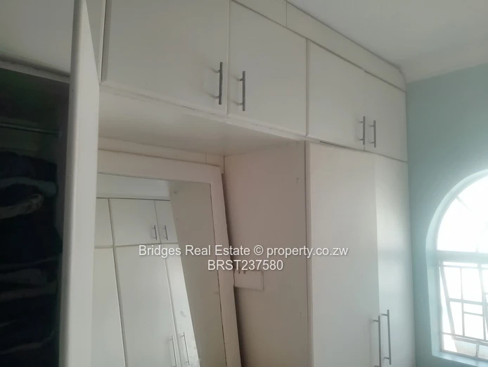 Pick yours in Picknic Park 