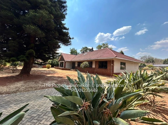 Rare Opportunity to Acquire a Good Investment Home