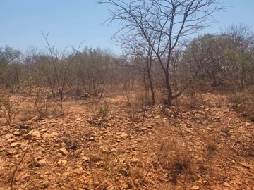 Farm & Agricultural Land