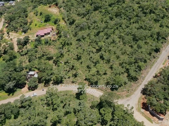 Prime Stands Available in Carrick Creagh! ??