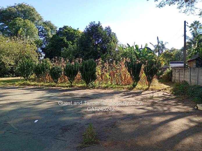 Residential Land For Sale In Mount Pleasant