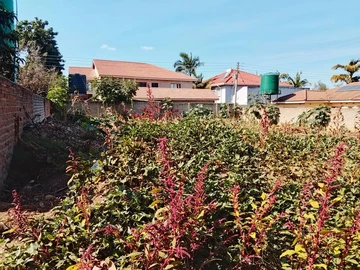 Stands & Residential Land
