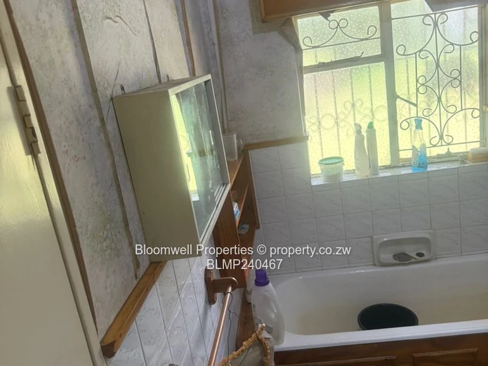 Renovators Dream With Huge Potential