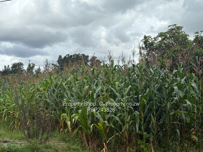 Great Opportunity for Re-Development