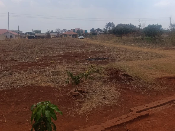 Stands & Residential Land