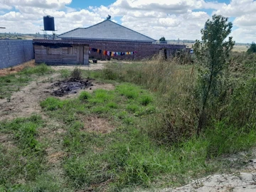 Stands & Residential Land