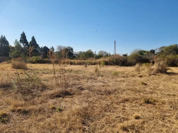 Stands & Residential Land