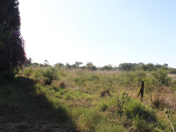 Commercial & Industrial Land