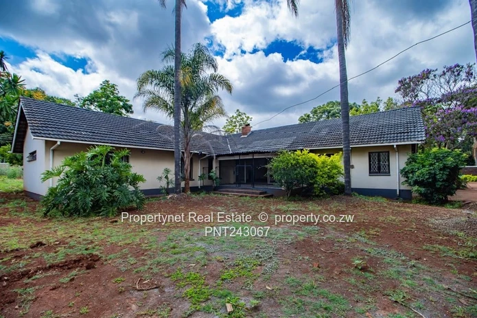 Renovator’s Dream!!!