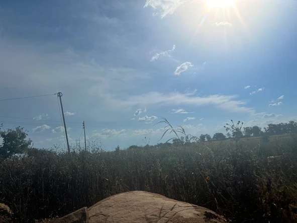 Commercial & Industrial Land