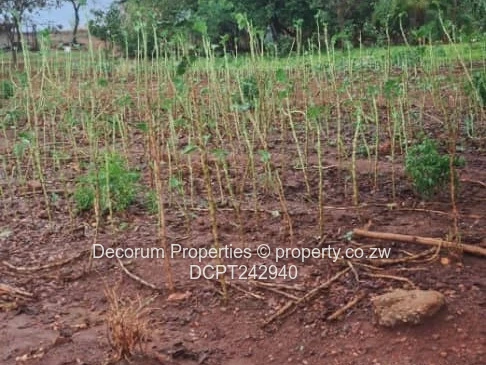 Prime 1011 m² Residential Stand for Sale in Tynwald South