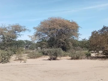 Commercial & Industrial Land