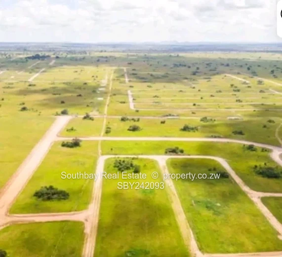 Investment Opportunity