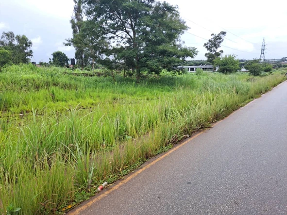 Stands & Residential Land