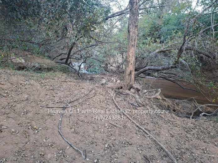 Plots with a river