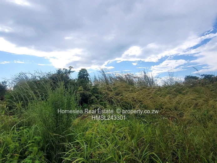 Absolute Bargain (Sole Mandate)