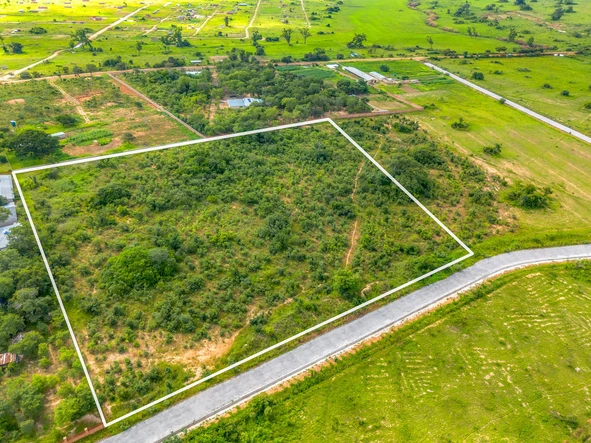 Farm & Agricultural Land