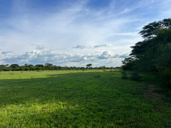 Farm & Agricultural Land