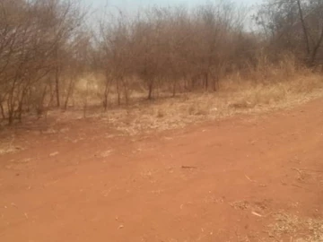 Farm & Agricultural Land