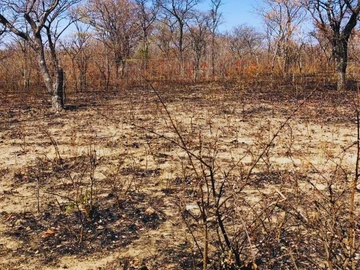 Farm & Agricultural Land