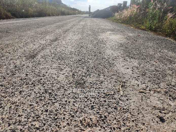 Spacious Erasmus Park Residential Stand (Sole Mandate)